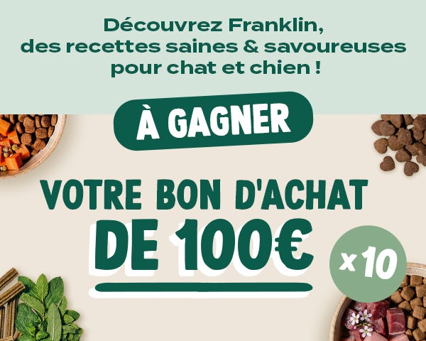 Grand Jeu : faites plaisir à vos compagnons à 4 pattes !