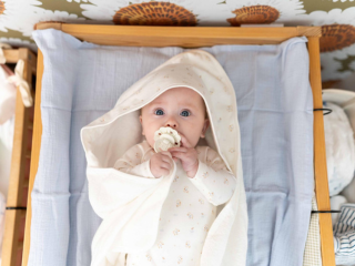Quel berceau choisir pour bébé ?